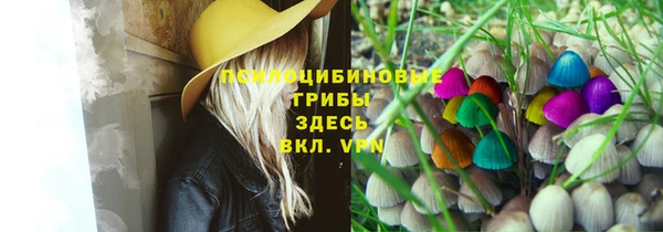 не бодяженный Белокуриха