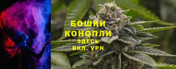 гидра Снежногорск