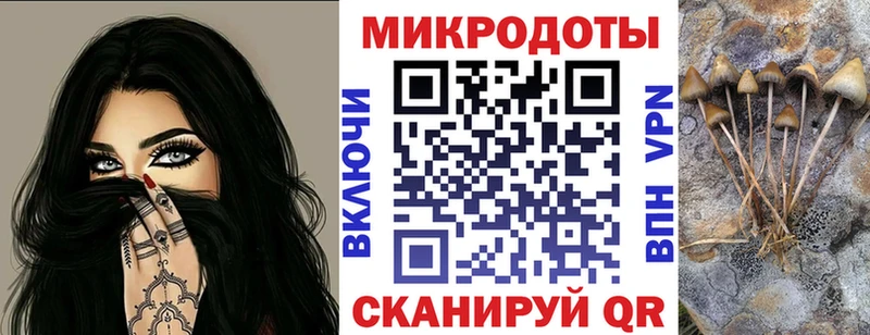 Галлюциногенные грибы Psilocybe  где можно купить   kraken вход  Ельня 